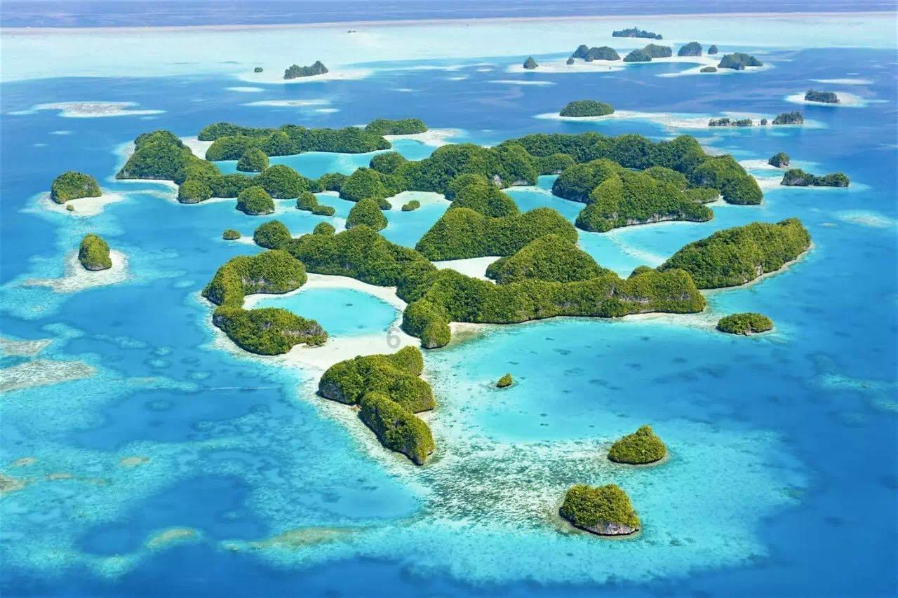 机智问答网页-解疑答惑,