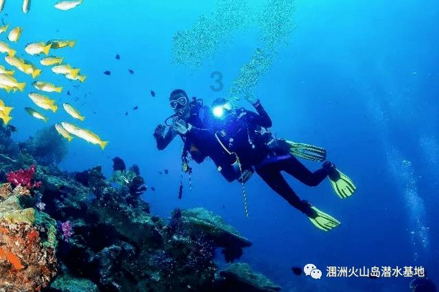 埃利的时装周