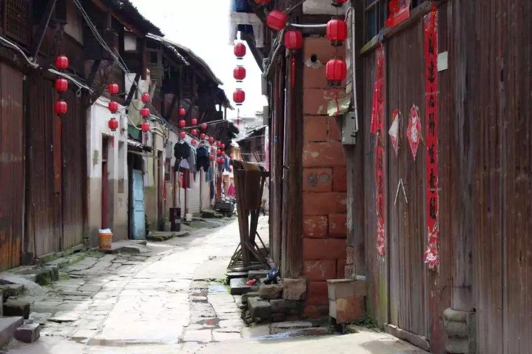 逗小猴开心系列199
